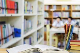 STEI: «Els entrebancs tècnics i legals condicionen el concurs de trasllats autonòmic»