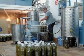 Una allau de productors d’oli col·lapsa la tafona particular de Can Det