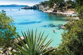 Calvià posa en marxa la tercera edició dels Premis de Medi Ambient dotats amb 15.000 euros