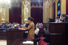 Olga Ballester durant la seva intervenció al Parlament.