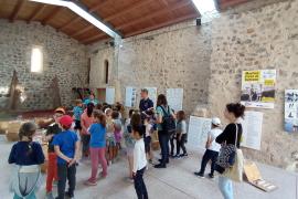 El Museu Marítim vol potenciar l’oferta educativa