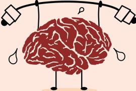 Trobada a la UIB sobre interrelació entre neurociència i activitat física, per implementar hàbits de vida saludable en els centres educatius