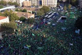 Més de 450 docents de les Balears fan una crida a la reorganització de les assemblees de centre per a frenar les polítiques educatives al servei de l'extrema dreta