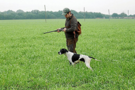 El GOB demana al Consell que es revisi la Llei de caça