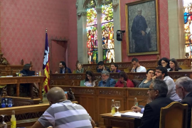 El Consell de Mallorca rebutja l'ampliació del Port del Molinar