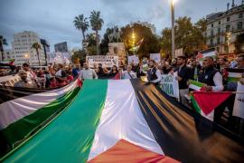 MÉS per Palma i Unides Podem presenten una Proposta d'acord a favor de Palestina