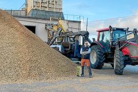«Quant a renovables, sols s’opta per la solar»