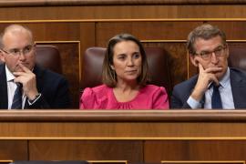 El PP proposa «pena de dissolució» per a les «persones jurídiques» que convoquin referèndums il·legals