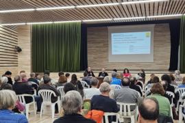 Plataforma per la Llengua organitza diverses activitats en el marc de les festes de Sant Antoni i la Diada de Menorca