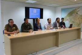 El Govern ja ha retirat set nius de vespa asiàtica i creu que n'ha frenat l'expansió'