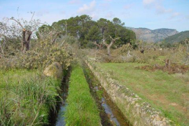 Finca de Son Aversó.