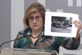 La tala dels arbres també la decidiran els jutges