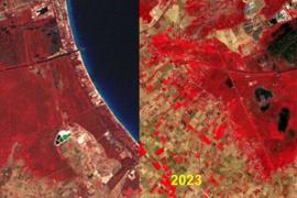 La greu crisi ambiental de l'Albufera de Mallorca, vista des de l’espai