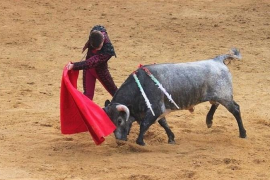 MÉS aprofitarà «el marge que deixa el TC» per continuar amb la prohibició dels toros a Balears.
