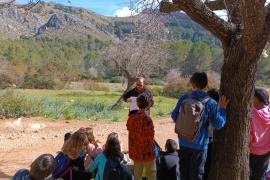 La Unitat d’Educació Ambiental del Consell posa en marxa una altra edició d''Una nit a la Serra'