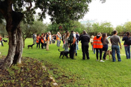 Centenars de persones que s'han apropat a Son Reus.