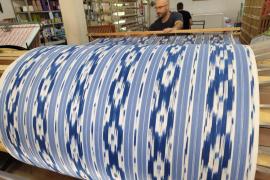 El Consell defensarà al Parlament Europeu la protecció de la tela de llengües