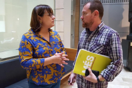 El portaveu parlamentari de MÉS per Mallorca, David Abril.