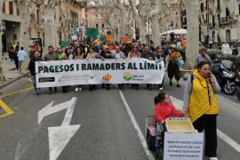 Imatges de la pancarta que encapçala la tractorada d'aquest 19 de febrer a Palma.