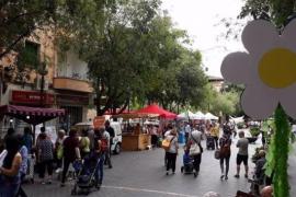 Palma XXI denuncia «manca de transparència» de l'Ajuntament envers els informes sobre l'eix cívic de Cotlliure