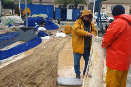 La confraria de pescadors espera que la nova llotja es construeixi el 2017