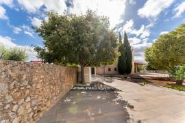 La Fundació Bit incorpora la intel·ligència artificial en el desenvolupament de programari per al Govern