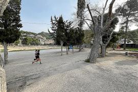 Durant la passada legislatura es presentà un avantprojecte de les instal·lacions.