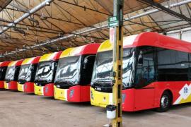 La xarxa de bus TIB avança la temporada d’estiu al 22 de març amb més oferta de servei i una nova línia a la Serra de Tramuntana