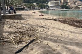 La neteja de les platges del Port, la pròxima setmana