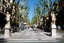 Vianants Mallorca i Enginyeria sense Fronteres a l'Ajuntament de Palma: «És una vergonya que s'hagi de lluitar per drets tan bàsics com la salut i respirar aire net»