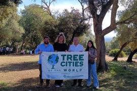 Inca, reconeguda com a 'Tree City of the World'