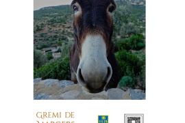 Deià acull un taller internacional de pedra en sec, promogut pel Gremi de Margers