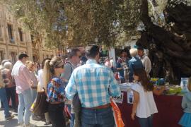 Imatge de la paradeta de la Nova Editorial de Moll del Sant Jordi de 2023.