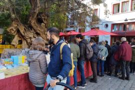 Imatge de la paradeta de llibres de Nova Editorial Moll durant aquest Sant Jordi.