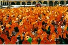 Tomeu Martí repassa totes les Diades per la Llengua en un article a Ploma.cat