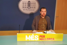 Portaveu Més per Mallorca, David Abril.