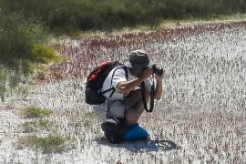 La UIB proposa diverses sortides botàniques en el marc de la IV Biomarató de Flora Espanyola