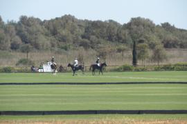 Imatge de l'activitat al camp de polo de Campos aquest mateix divendres.