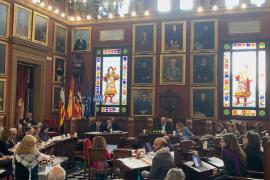 Els grups municipals de Palma rebutgen el paquet de mesures del PP contra la saturació turística