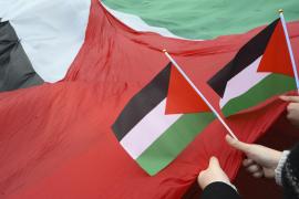 Imatge de banderes palestines durant una concentració reivindicativa.