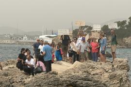 Els veïnats de Bendinat s'han concentrat aquest dissabte davant l'hotel per a protestar contra les obres il·legals.