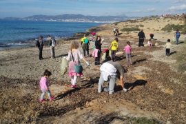 Jornada de neteja en el Carnatge.