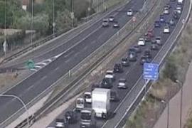 PP-VOX impedeixen que es reguli i limiti l'entrada de vehicles a Mallorca