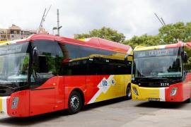 La xarxa TIB incorpora 10 busos nous per millorar el servei, amb més places i reforços a les línies principals