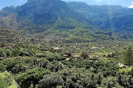 La regularització d’obres il·legals en rústic tendrà poca incidència a la Vall