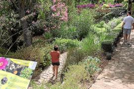 El MUCBO rebé més de 26.000 visitants el 2023