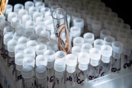 Els 16 investigadors de les Balears que es troben entre els 1.000 més destacats de l'Estat