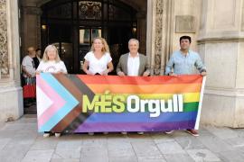 MÉS lamenta la «manca de valentia» del president del Consell de Mallorca en relació a les polítiques LGTBI