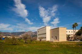 La UIB planta un bosc educatiu al campus