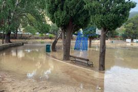 Estat de la pista d'atletisme. Fotos: Toni Sunyer